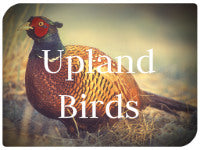 Acrylic Upland Bird Eyes