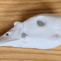 RTX722 Egyptian Goose Head