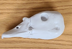 RTX722 Egyptian Goose Head