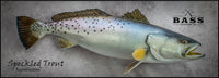 Speckled Trout 27 -- 30 x 17
