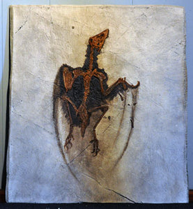 Archaeopteryx