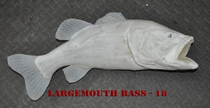 Largemouth Bass 18 -- 24 x 16 1/2