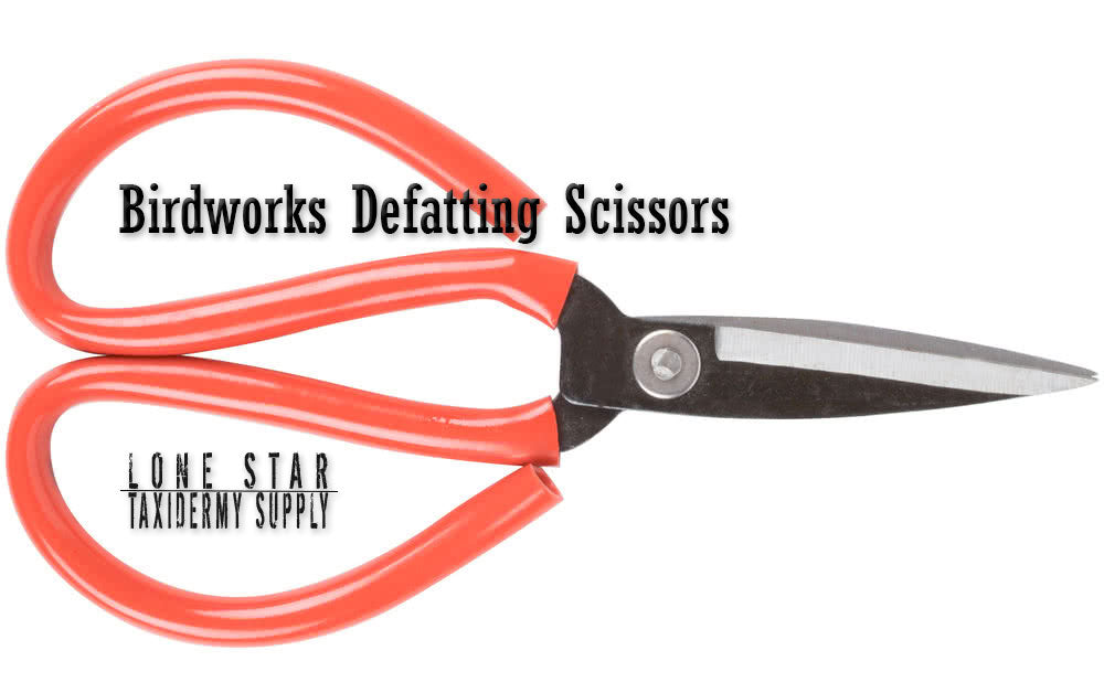 Birdworks Scissors