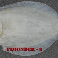 Flounder 8 -- 25 1/2 x 31 1/2