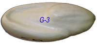 G-3