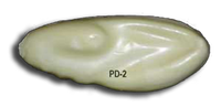 PD-2 -- 6 x 7 1/2