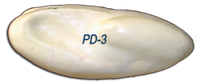 PD-3 -- 6 3/4 x 8 1/2
