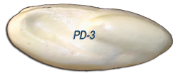 PD-3 -- 6 3/4 x 8 1/2