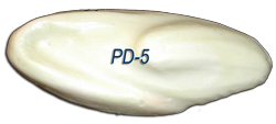 PD-5 -- 8 1/4 x 10 1/4