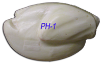 PH-1 Pheasant Body -- 7 x 11