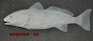 Redfish 32 -- 25 1/2 x 14 1/4