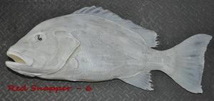 Red Snapper 6 -- 33 x 26