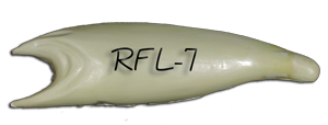 RFL-7 -- 21 3/4 x 14 3/4