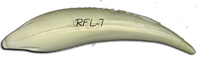 RFL-7 -- 21 3/4 x 14 3/4