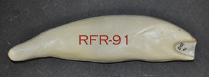 RFR-91 -- 24 x 16