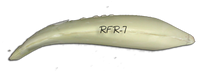 RFR-7 -- 21 3/4 x 14 3/4