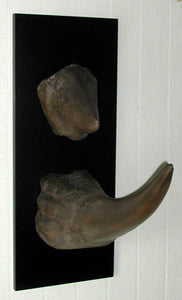 Reproduction Rhino Horns