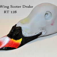 RT128 White Wing Scoter Drake Head