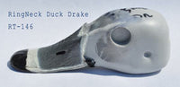 RT146 Ringneck Duck Drake Head
