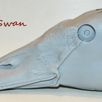 RT211 Swan Head