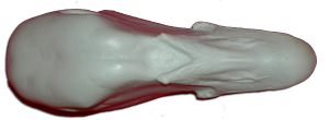RTX703 Magellan Goose Male Head