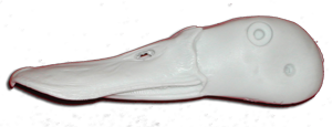 RTX710 Red Shoveler Drake Head