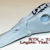 RTX717 Laysan Teal Drake Head