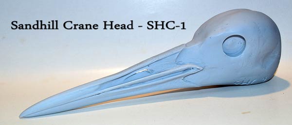 Sandhill Crane Artificial Head
