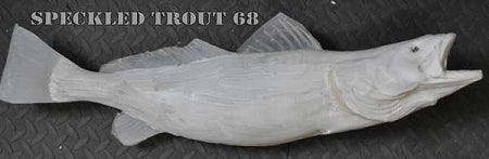 Speckled Trout 68 -- 26 x 14