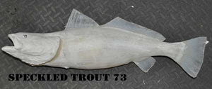 Speckled Trout 73 -- 25 x 14 1/2